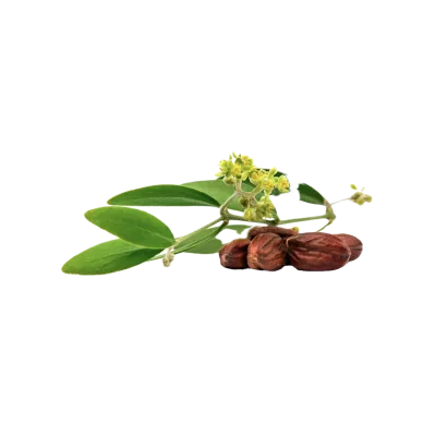 Масло жожоба